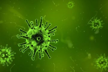 Vaccine Conspiracy Theory