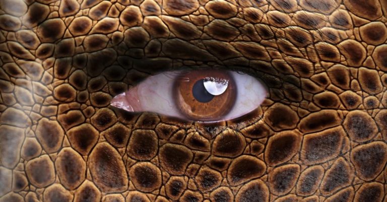 Rule of the Reptiles