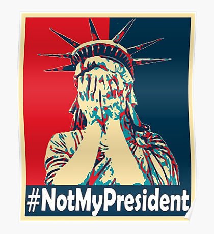Anti Trump View